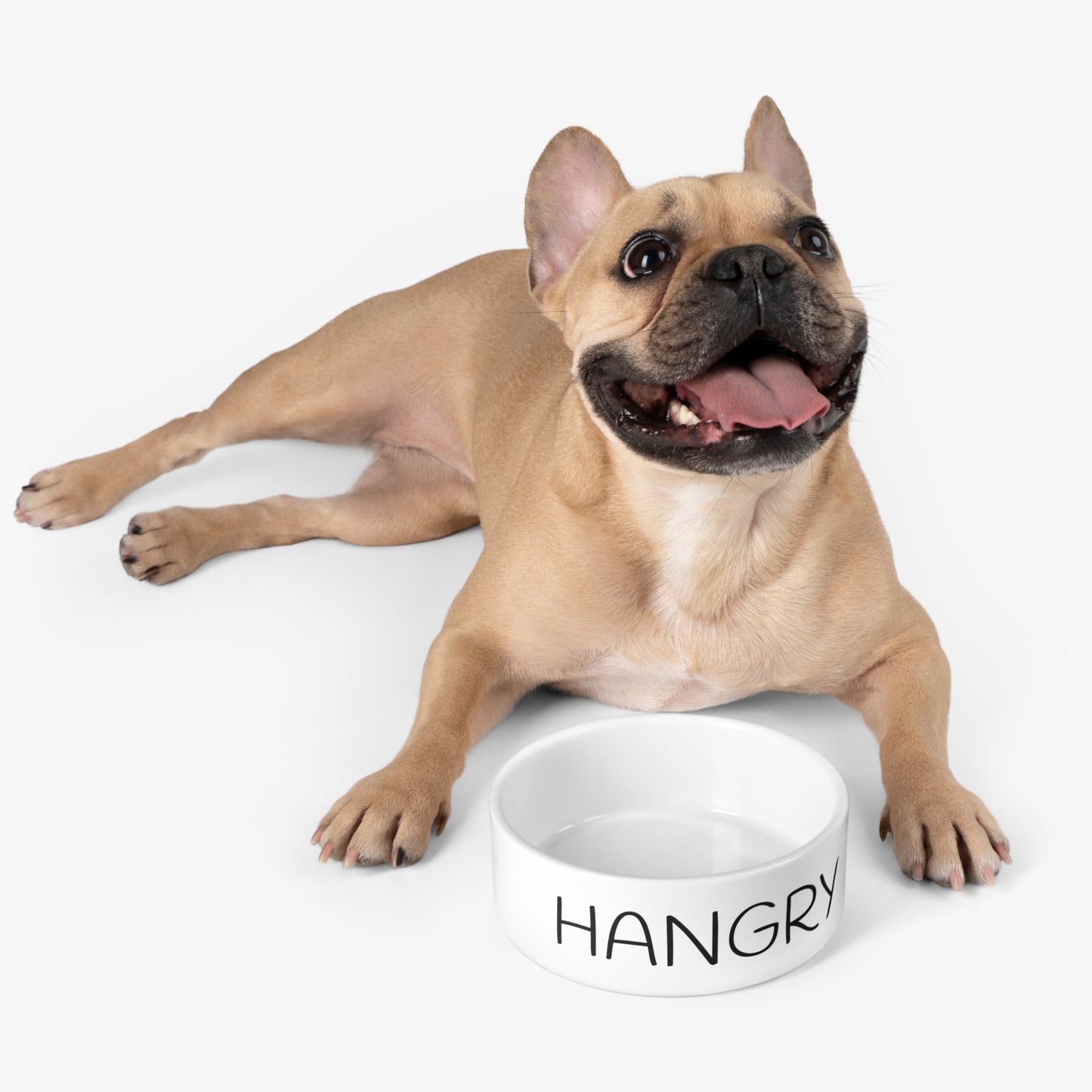 HANGRY Pet Bowl