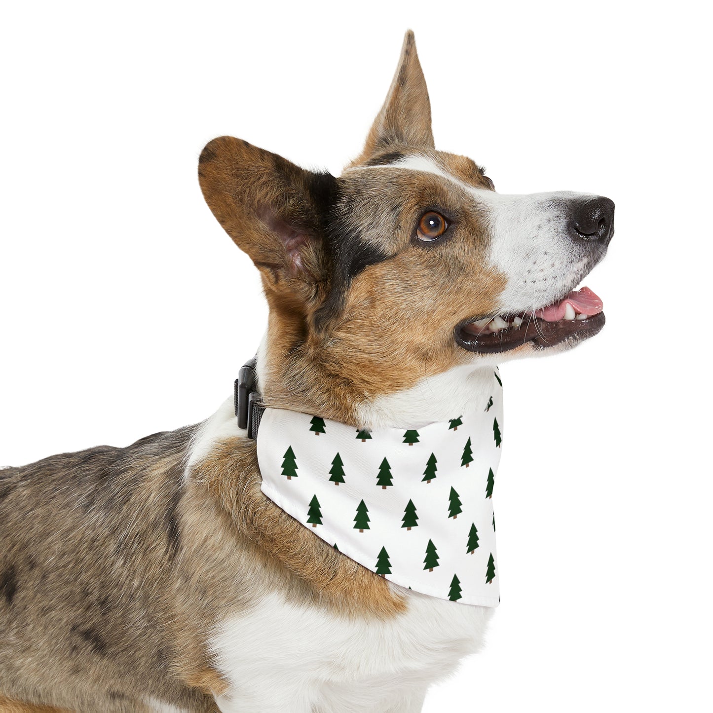 Stylish Winter Pet Bandana Collar