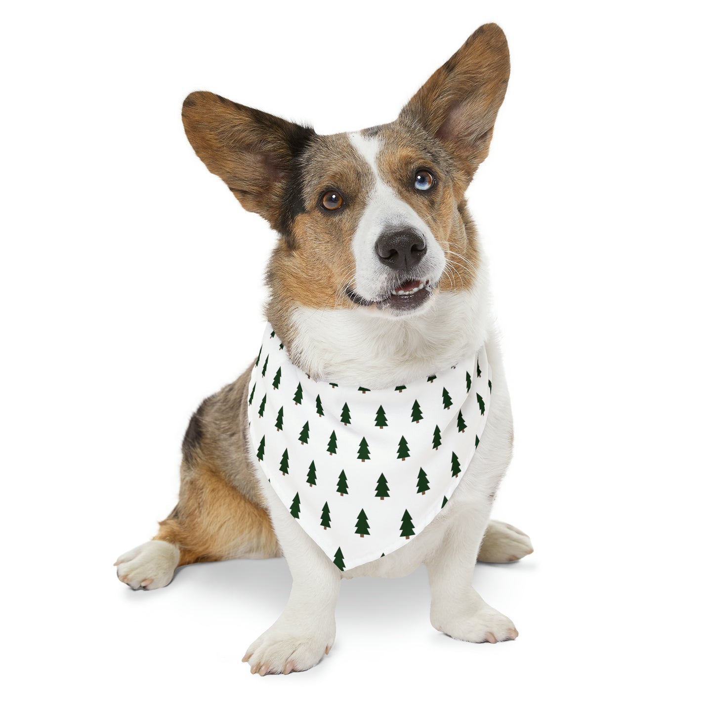 Stylish Winter Pet Bandana Collar