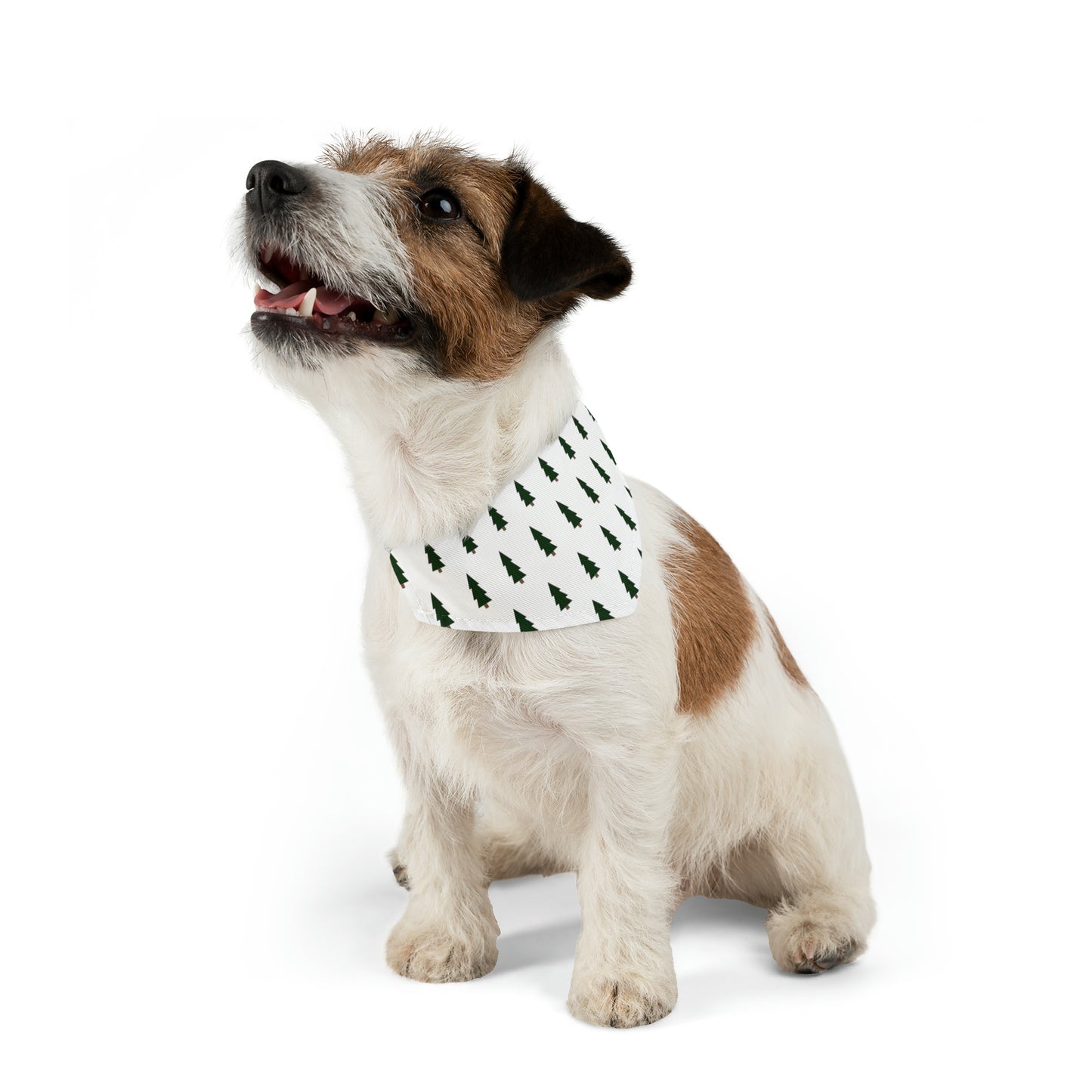 Stylish Winter Pet Bandana Collar