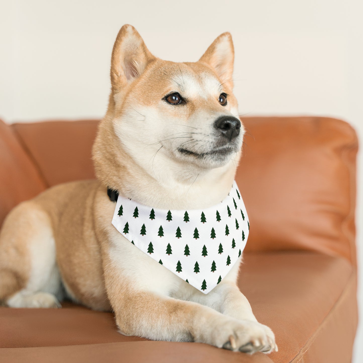 Stylish Winter Pet Bandana Collar