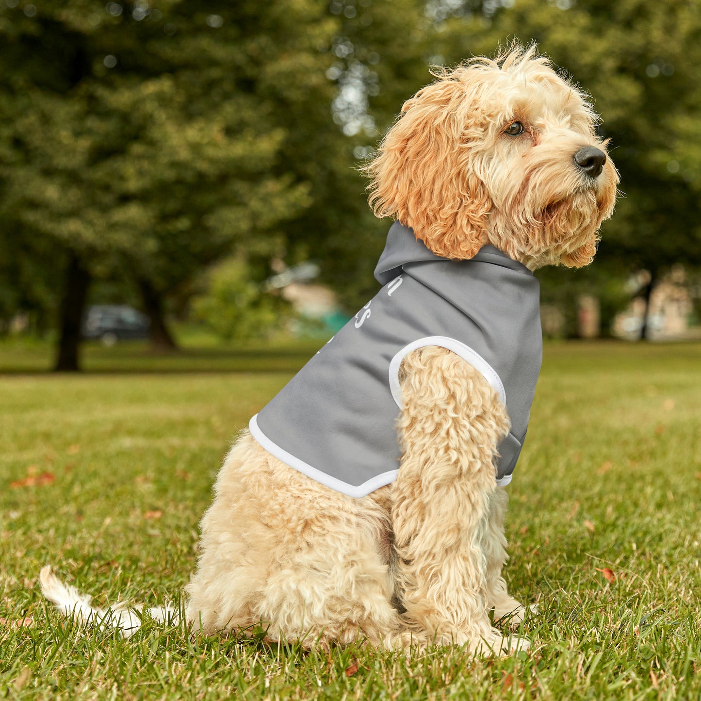 MOM LOVE Pet Hoodie