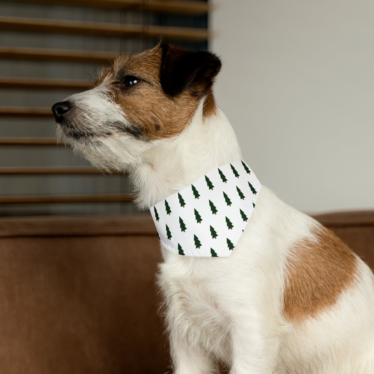 Stylish Winter Pet Bandana Collar